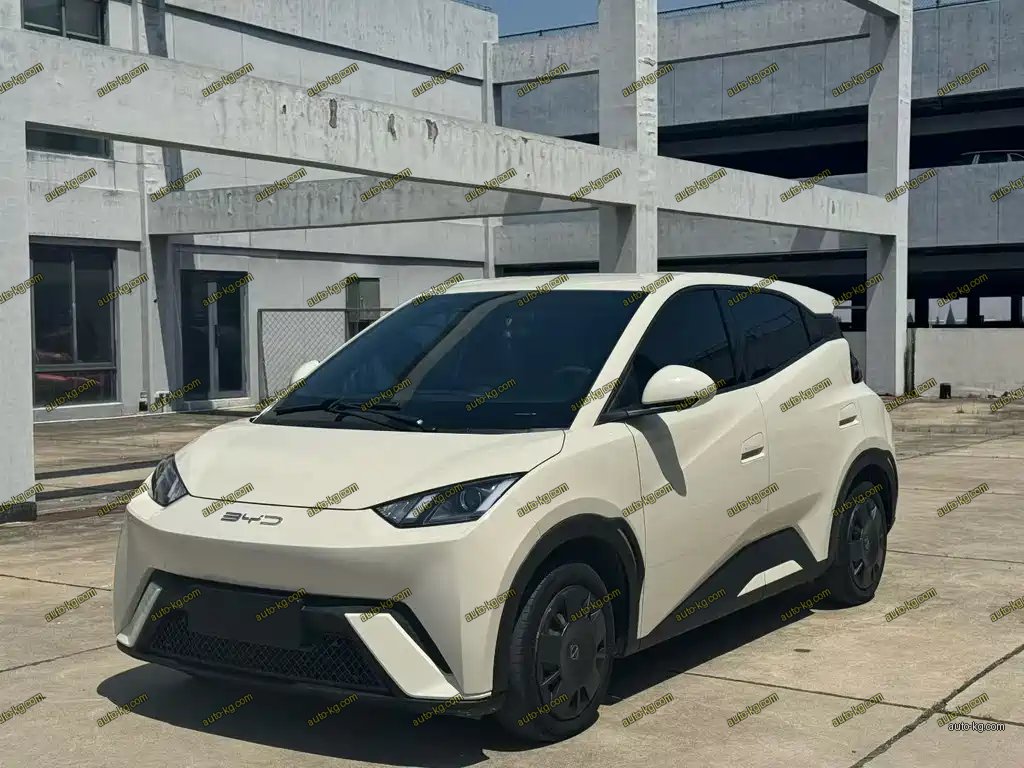 BYD Seagull 2024