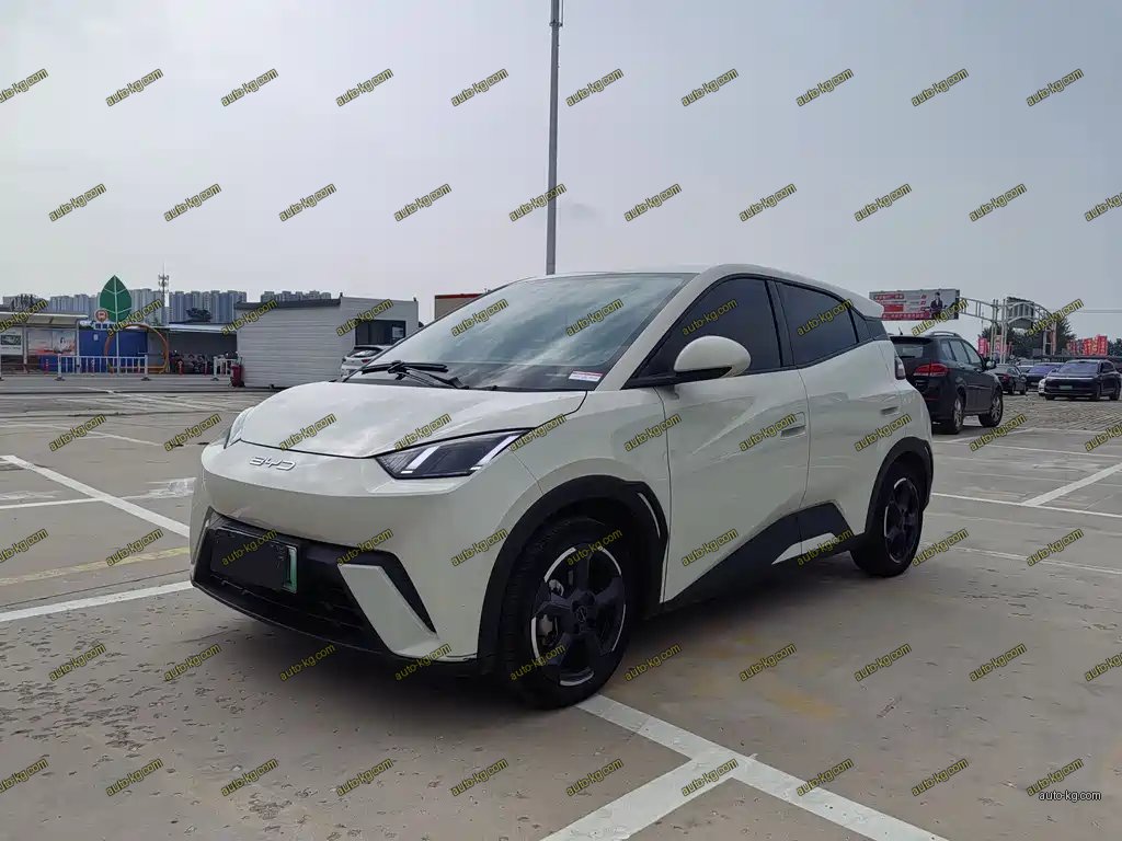BYD Seagull 2024
