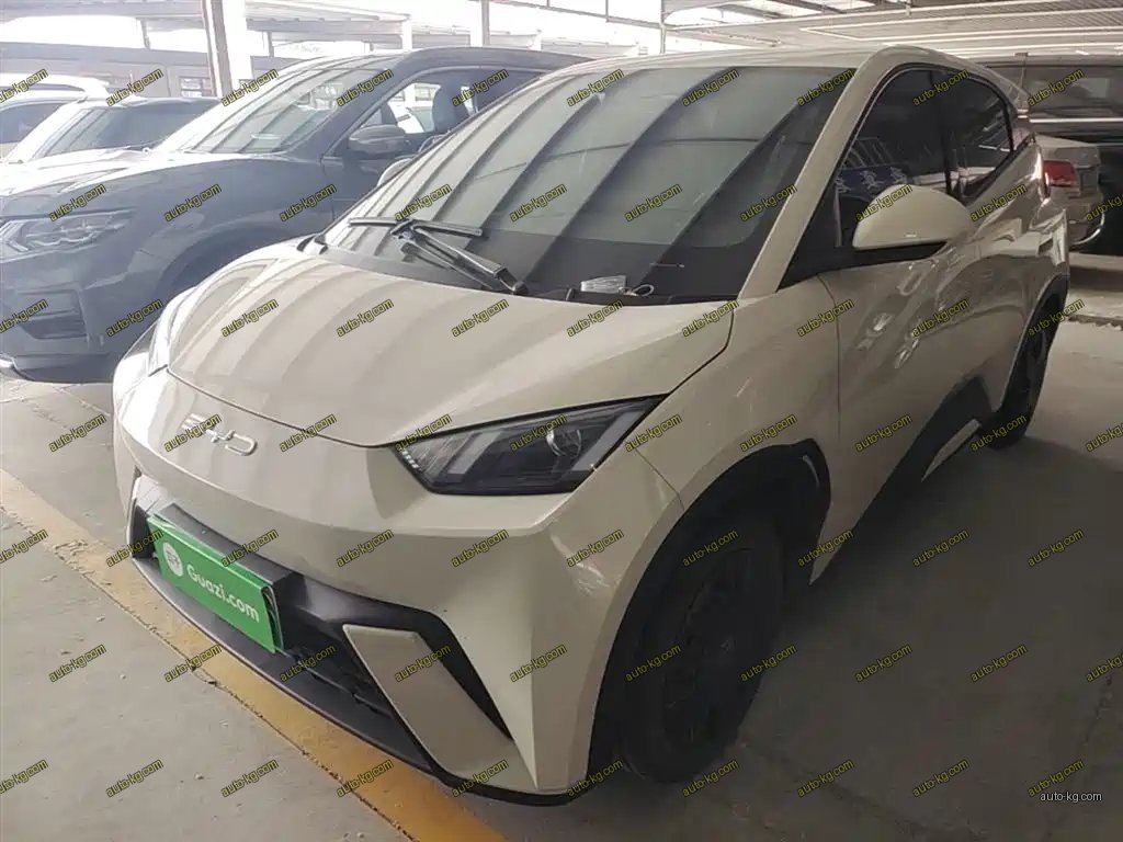 BYD Seagull 2024