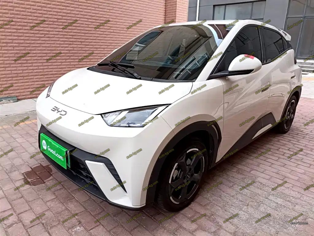 BYD Seagull 2023
