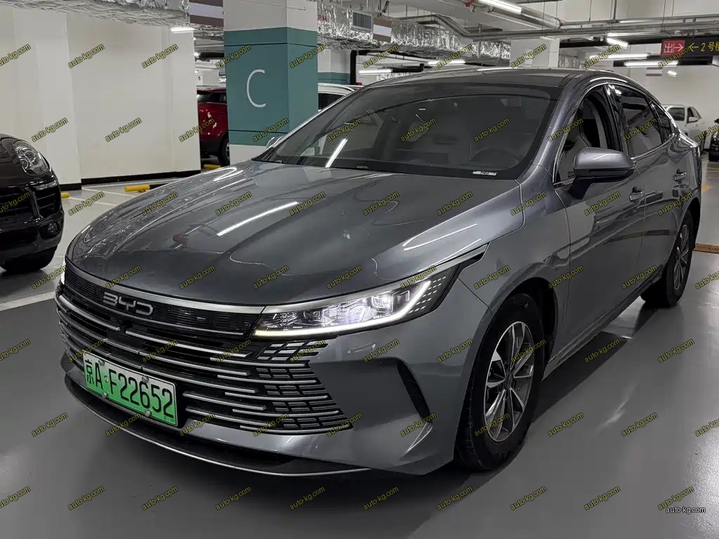 BYD Destroyer 05 2024
