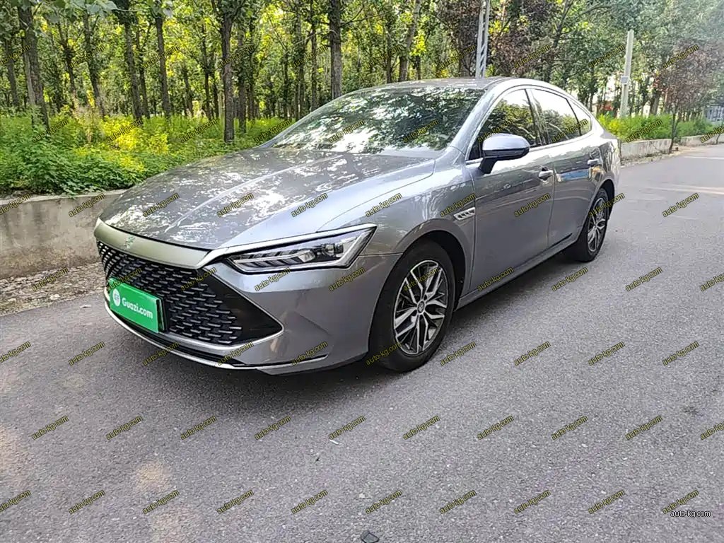 BYD Qin PLUS 2022
