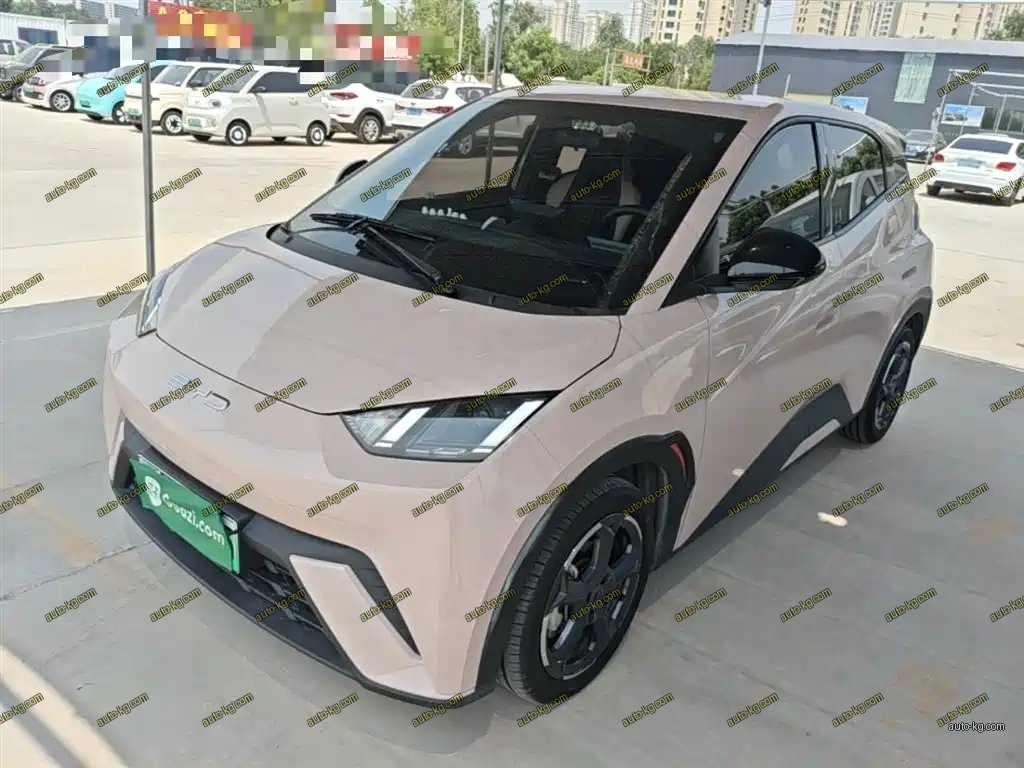 BYD Seagull 2024