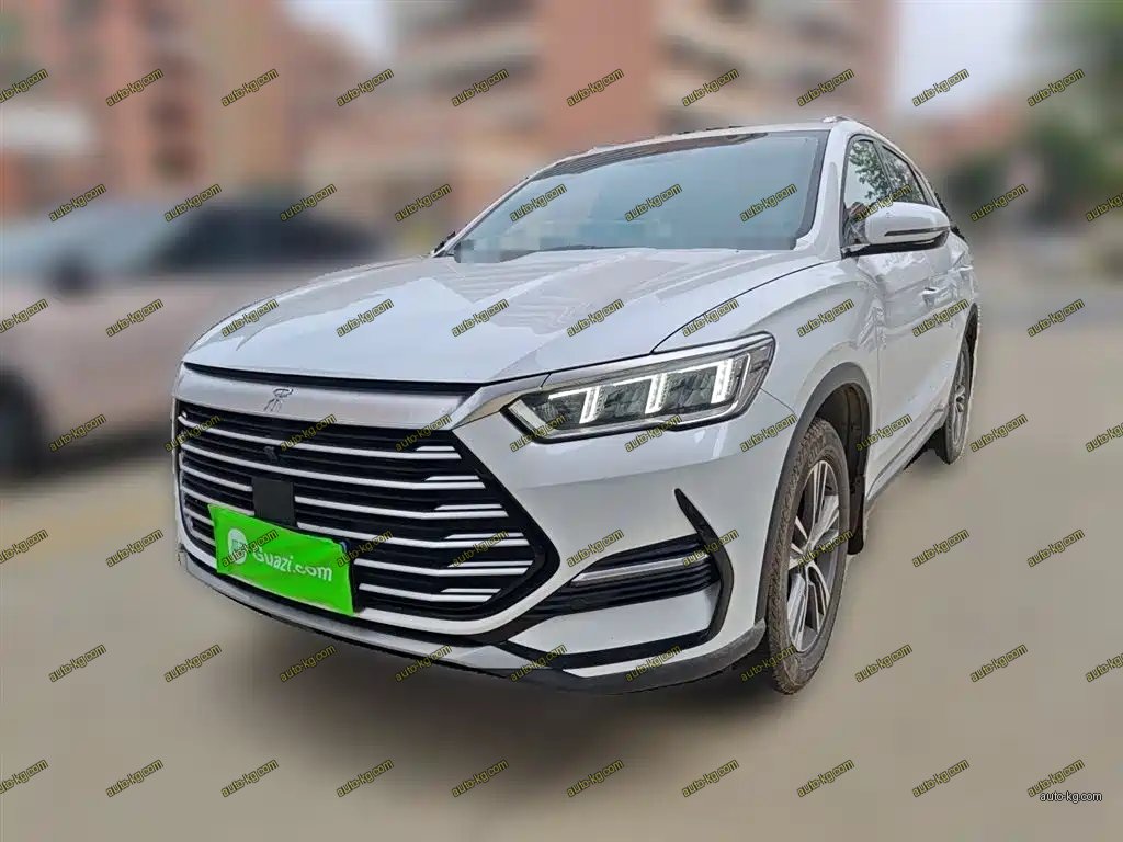 BYD Pro 2021