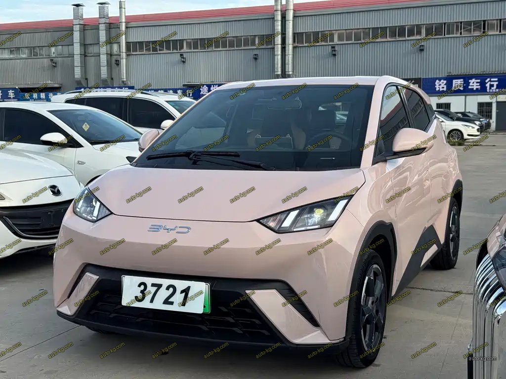 BYD Seagull 2024