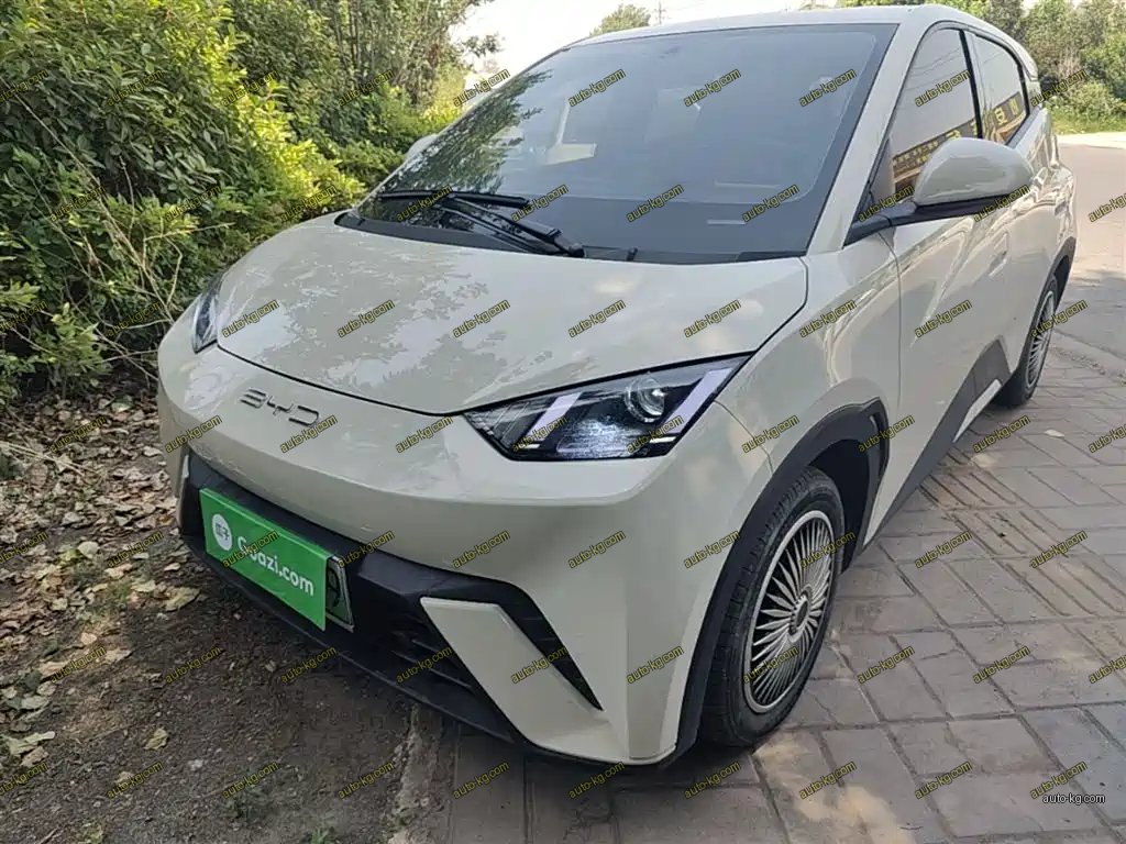 BYD Seagull 2024