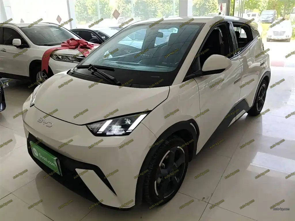 BYD Seagull 2023