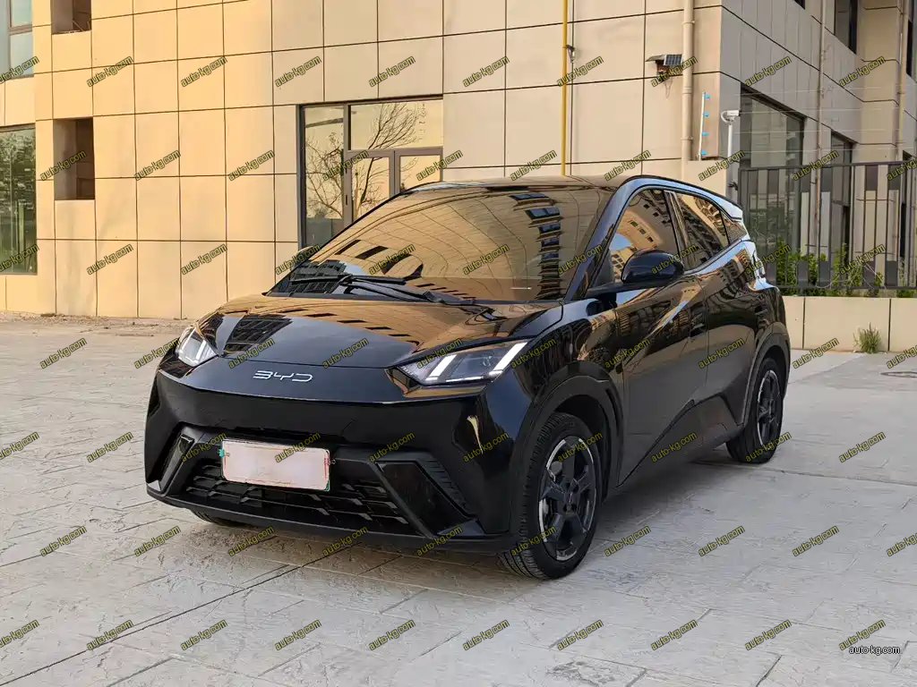 BYD Seagull 2023