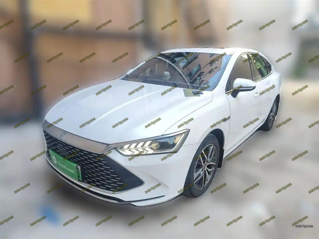 BYD Qin PLUS 2022