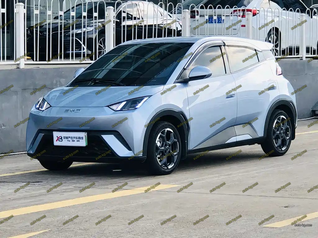 BYD Seagull 2024