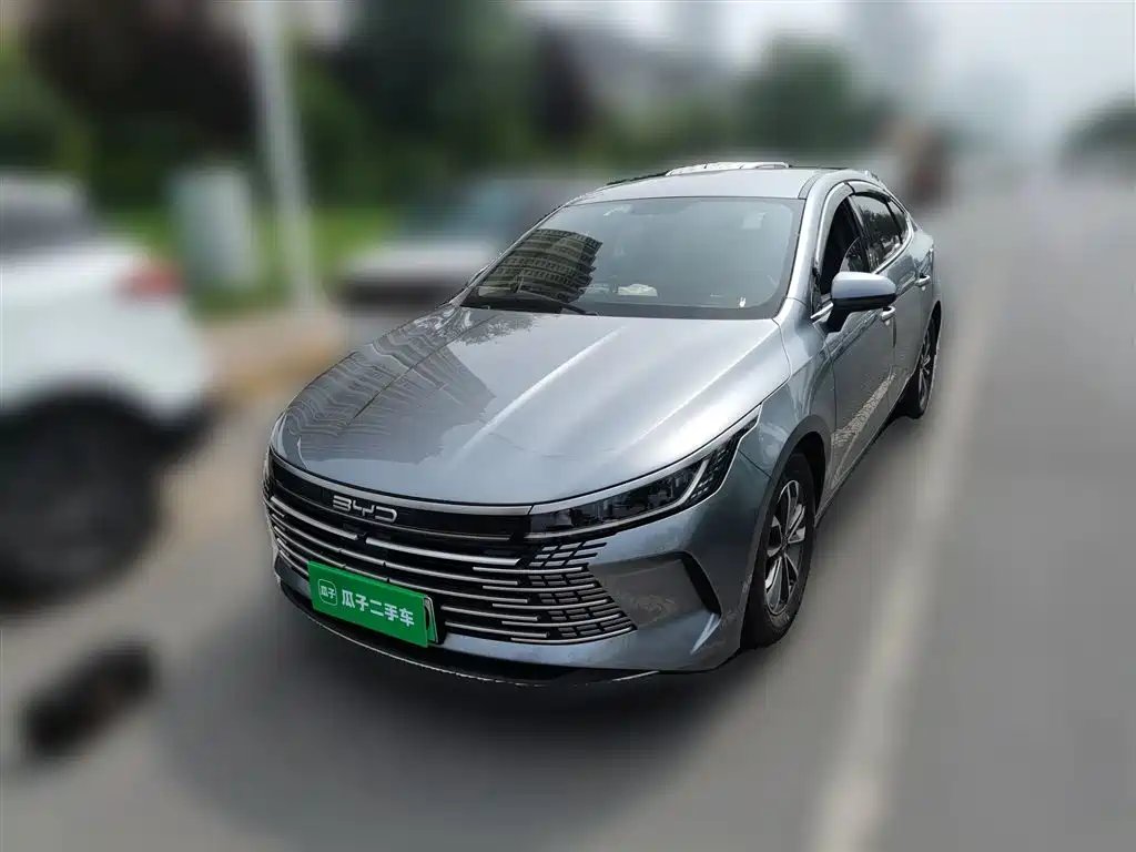 BYD Destroyer 05 2024