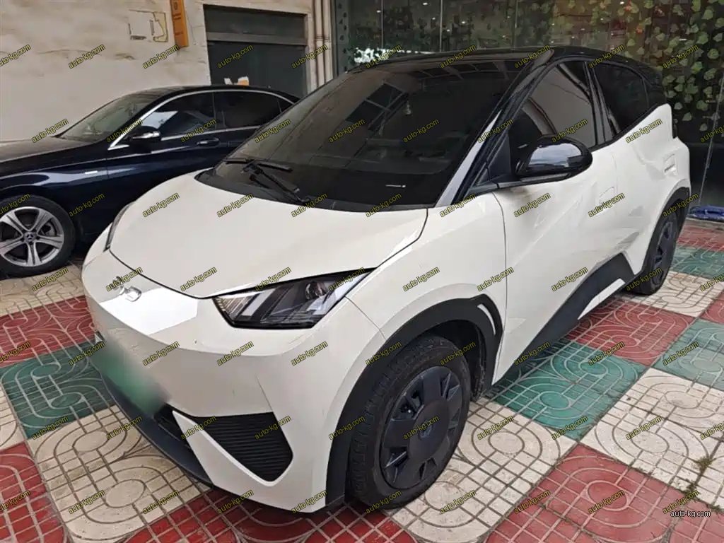 BYD Seagull 2025