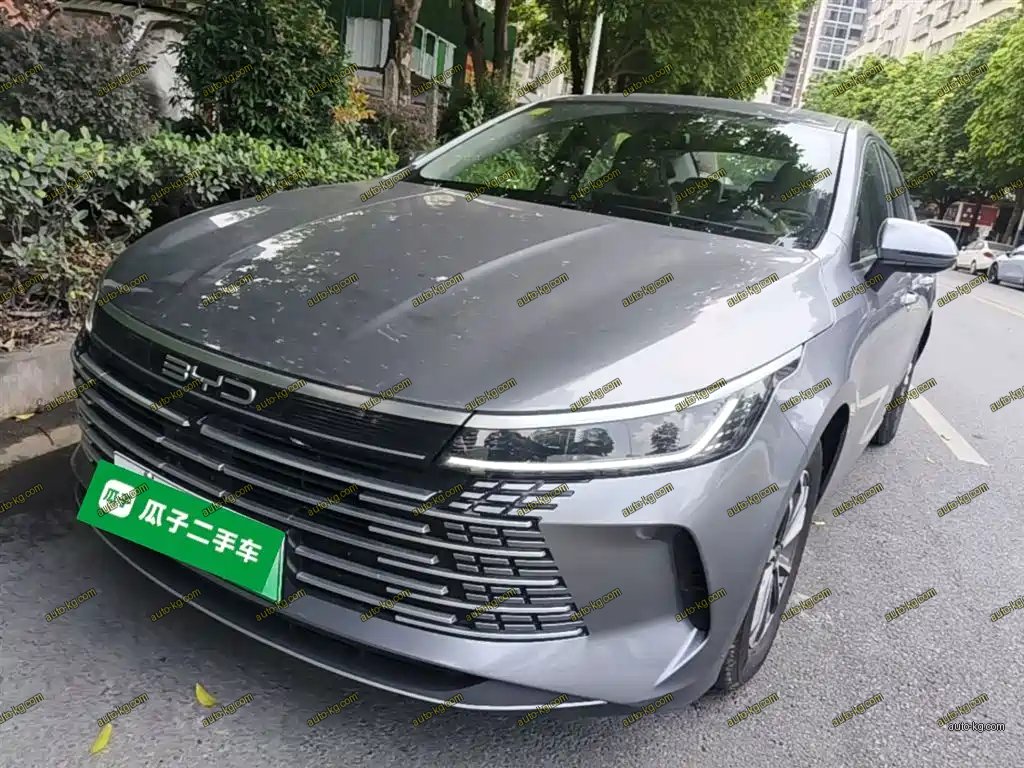 BYD Destroyer 05 2024