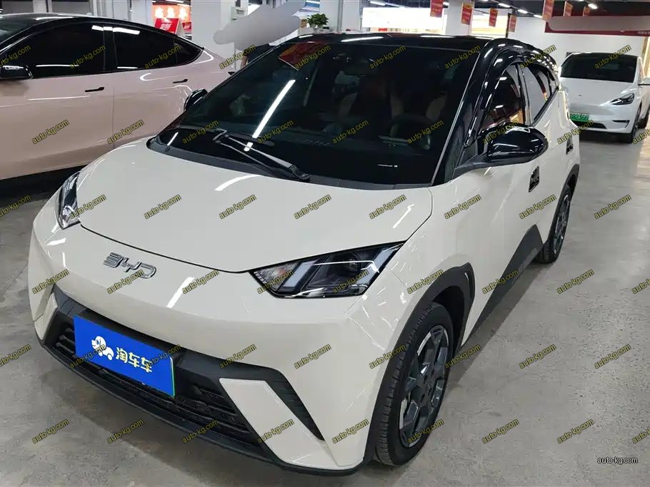 BYD Seagull 2024