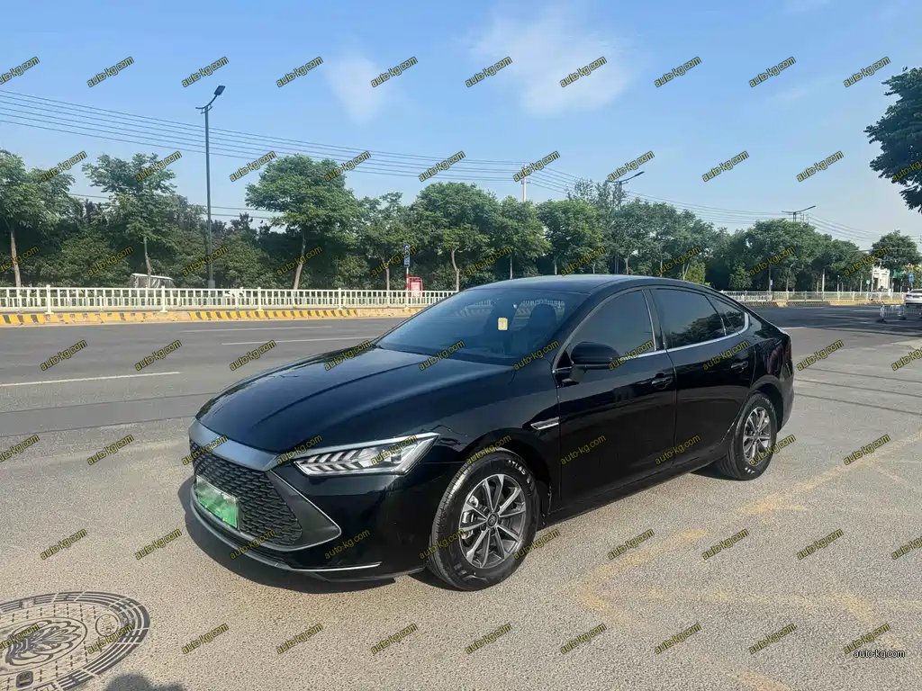 BYD Qin PLUS 2024