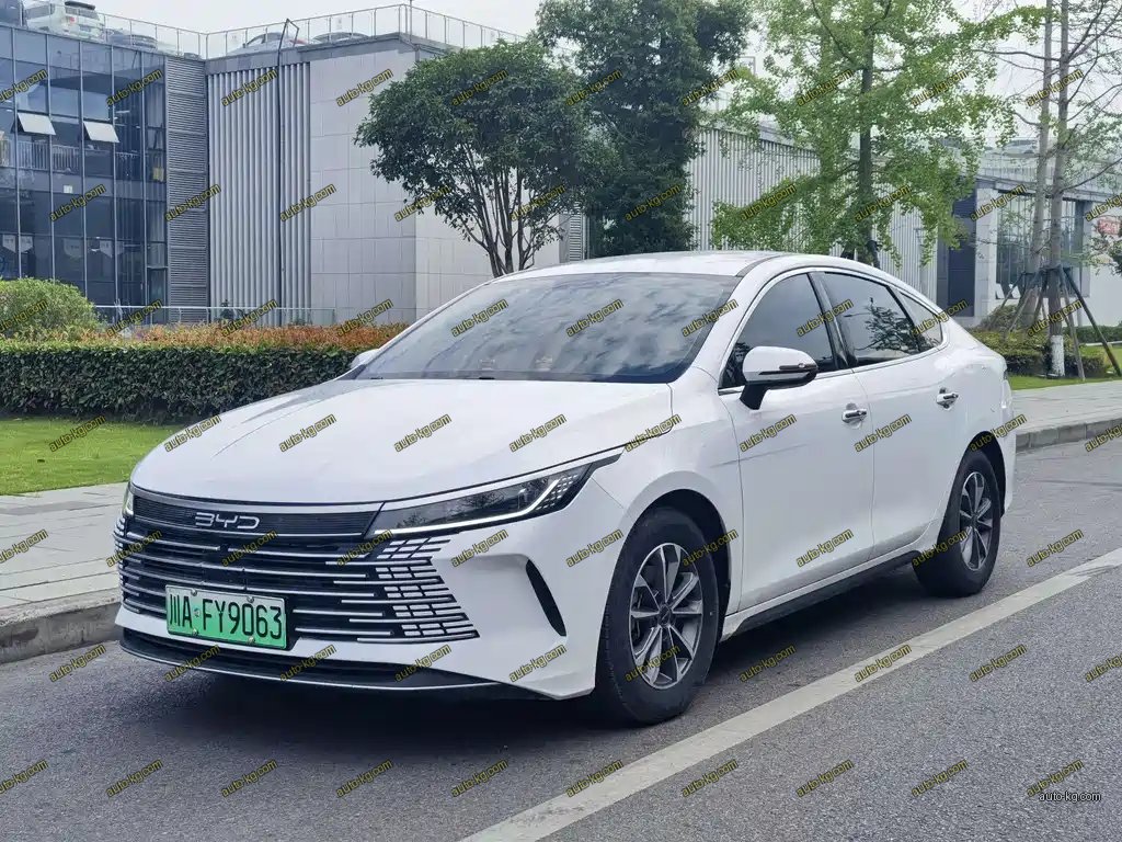 BYD Destroyer 05 2024