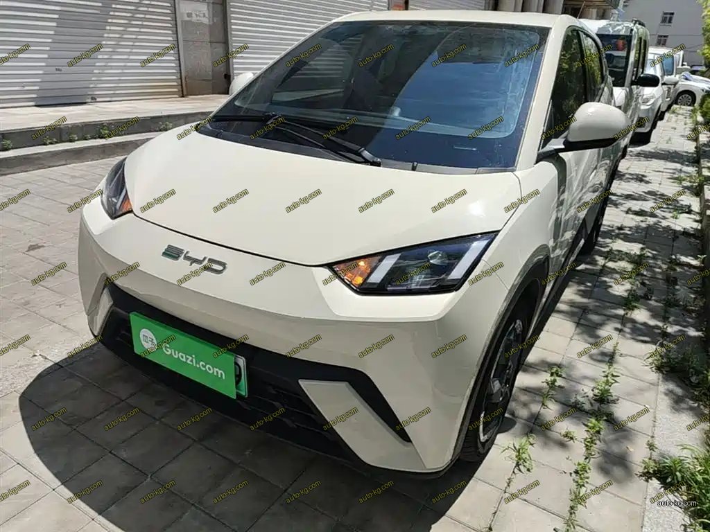 BYD Seagull 2024