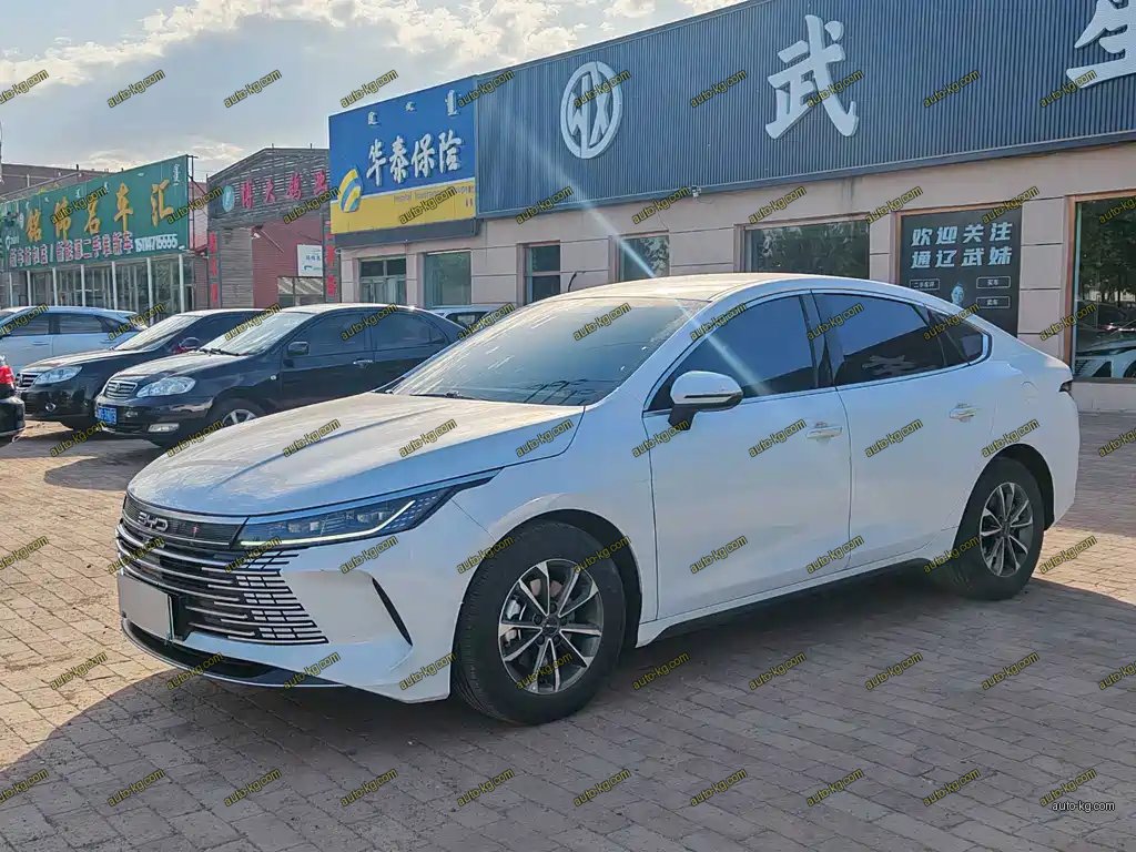 BYD Destroyer 05 2024