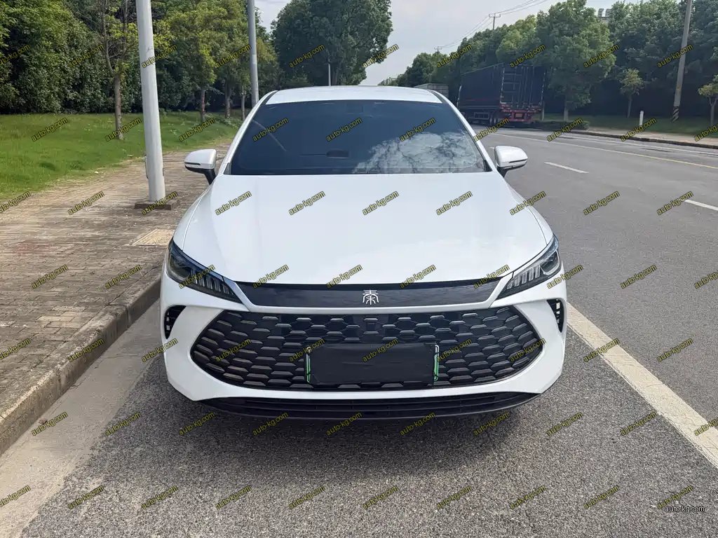 BYD Qin PLUS 2025