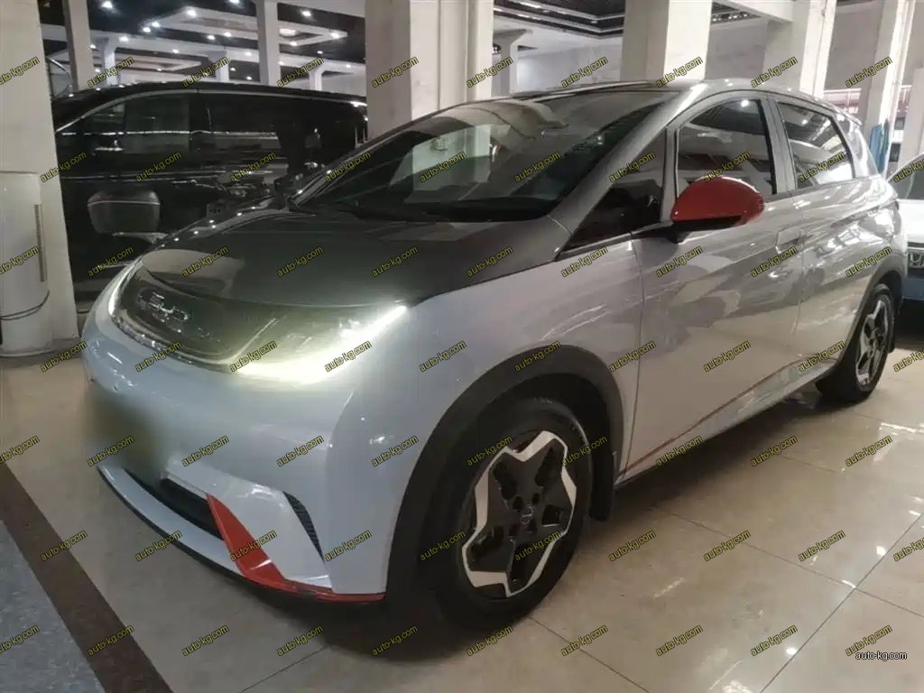 BYD Dolphin 2022