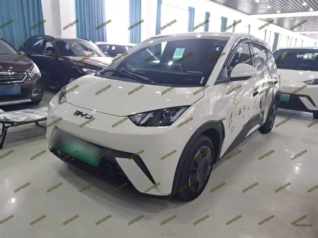 BYD Seagull 2024