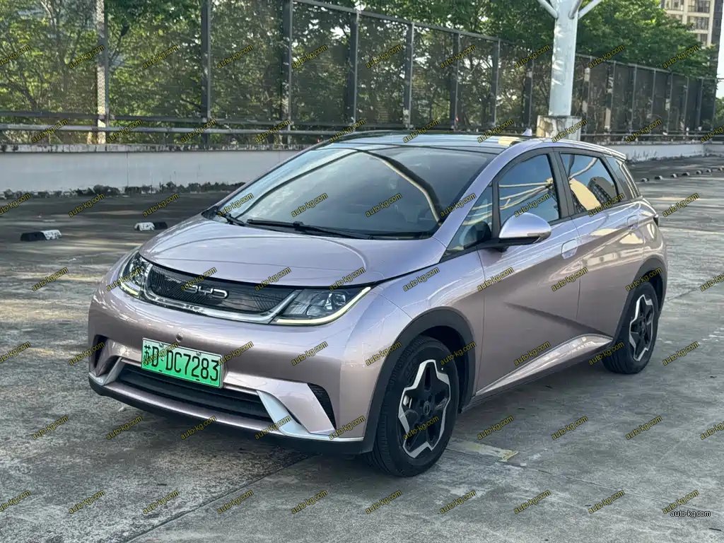 BYD Dolphin 2022