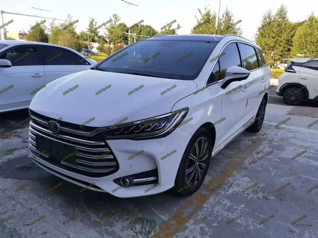 BYD MAX New Energy 2020