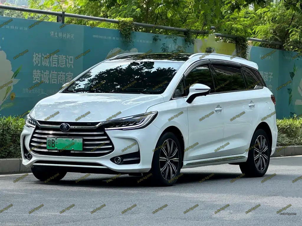 BYD MAX New Energy 2020