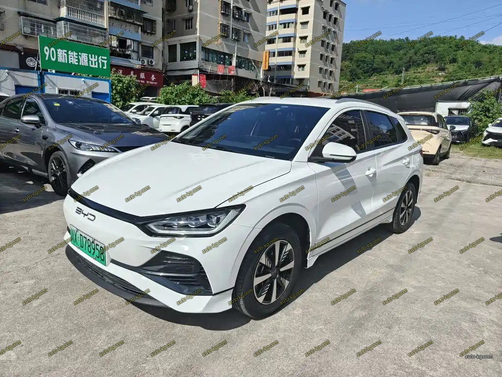 BYD e2 2024