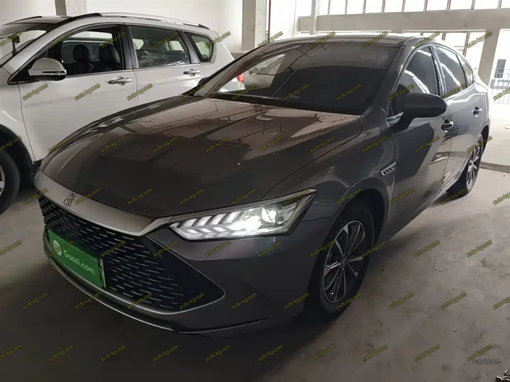 BYD Qin PLUS 2024