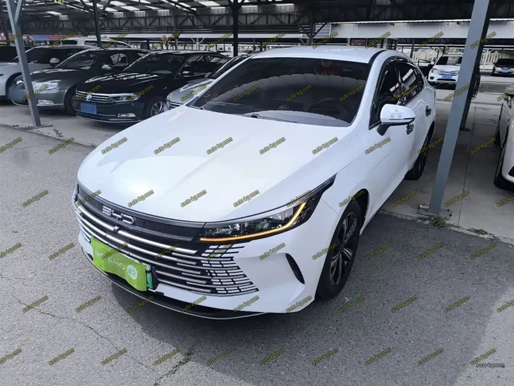 BYD Destroyer 05 2023