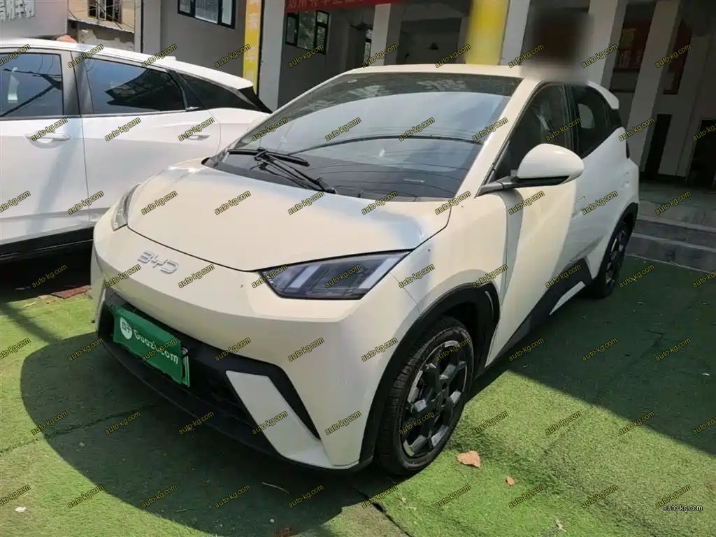 BYD Seagull 2024