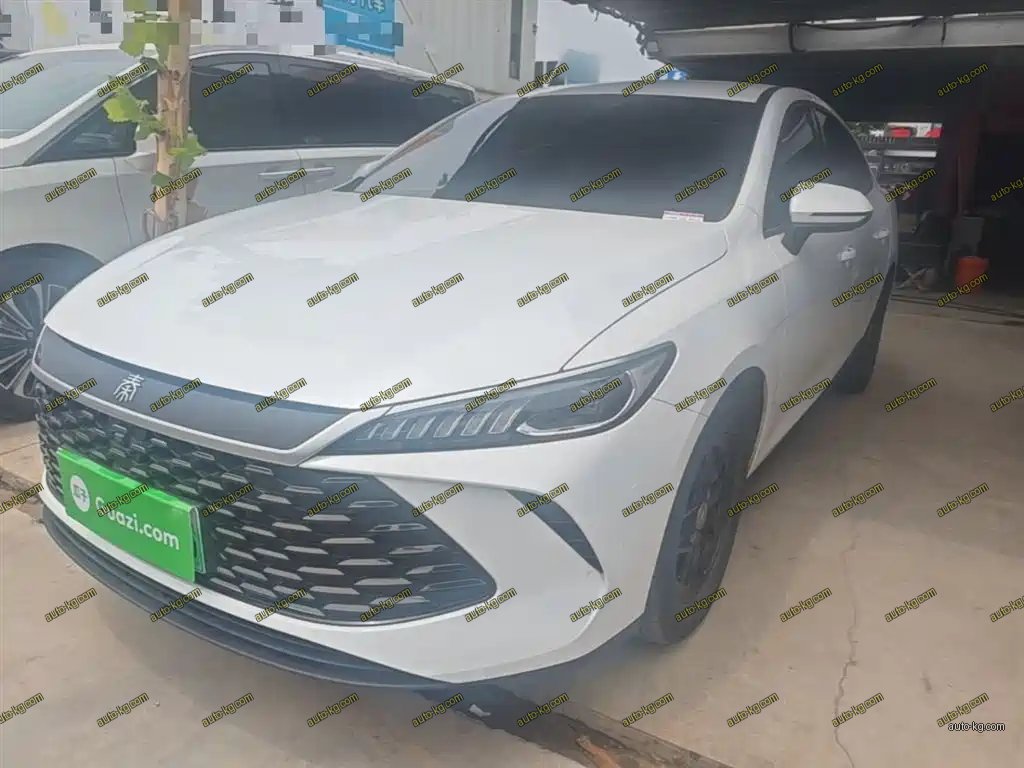 BYD Qin PLUS 2025