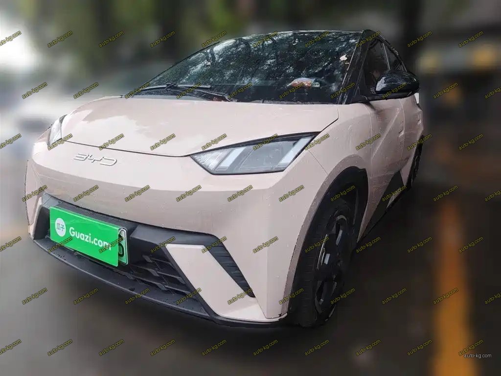BYD Seagull 2024