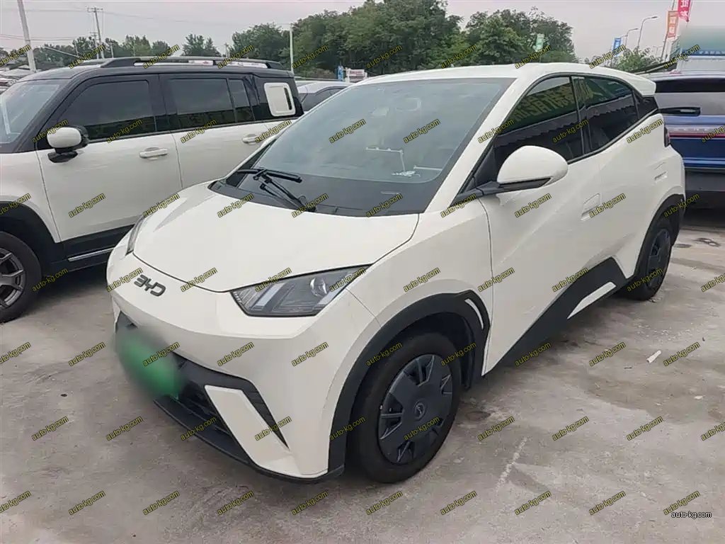 BYD Seagull 2025