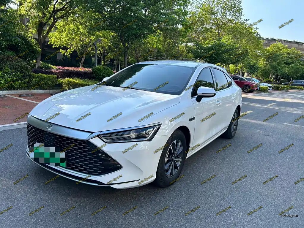 BYD Qin PLUS 2023