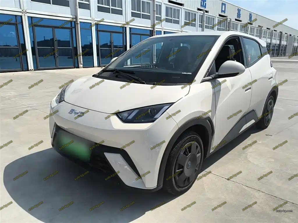 BYD Seagull 2025