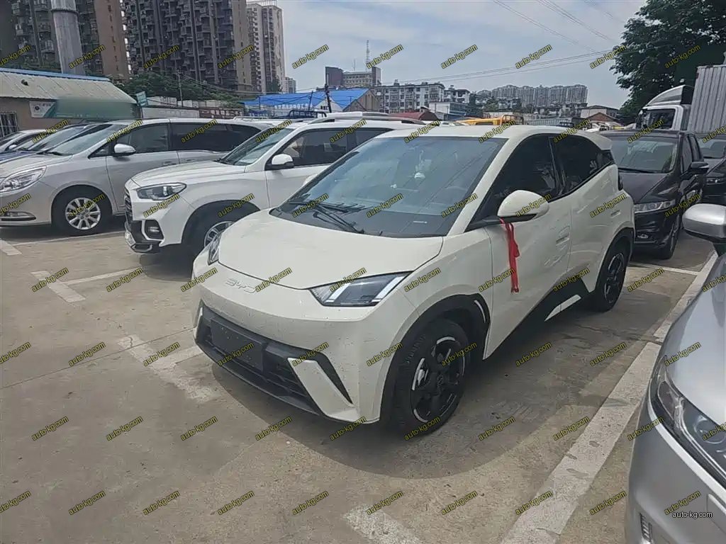 BYD Seagull 2024