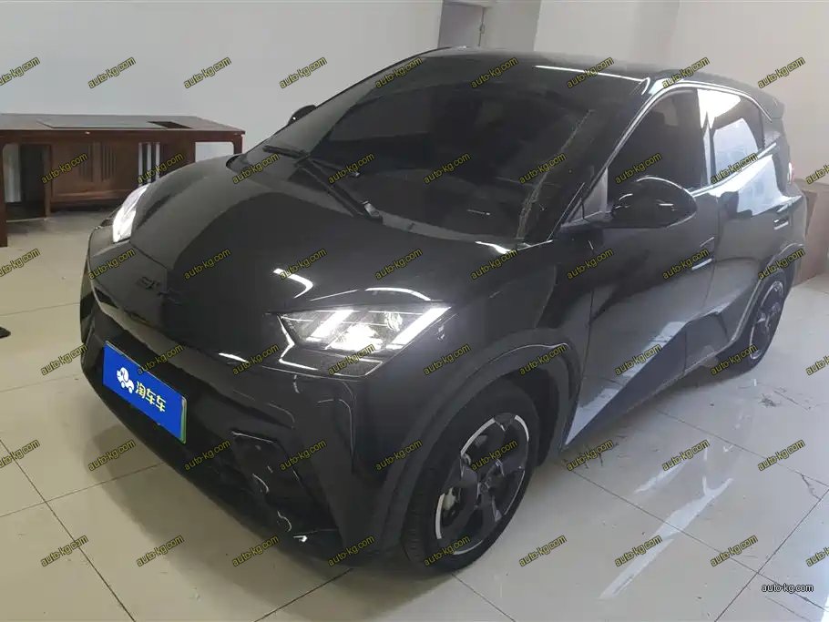 BYD Seagull 2023