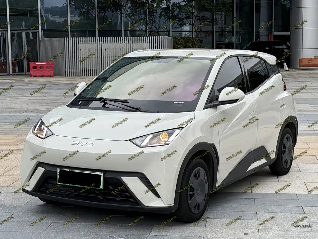 BYD Seagull 2025
