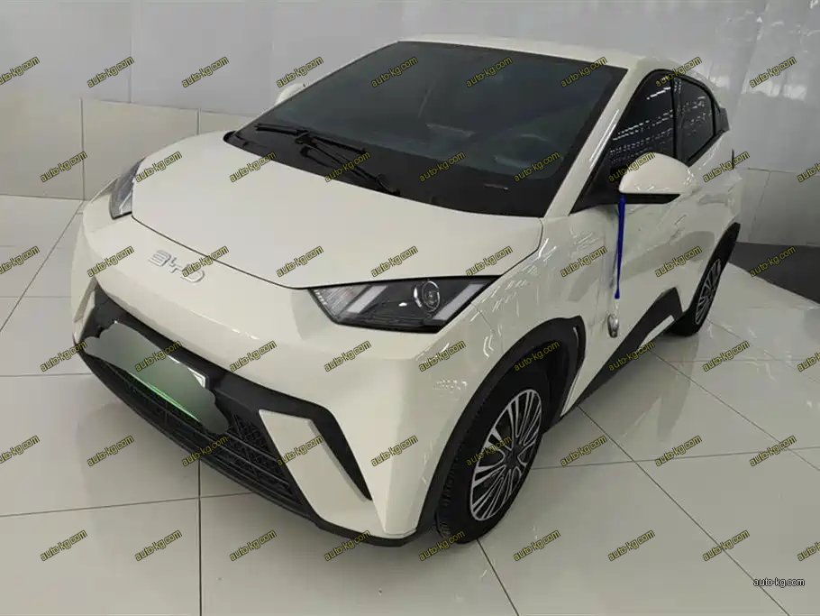 BYD Seagull 2025