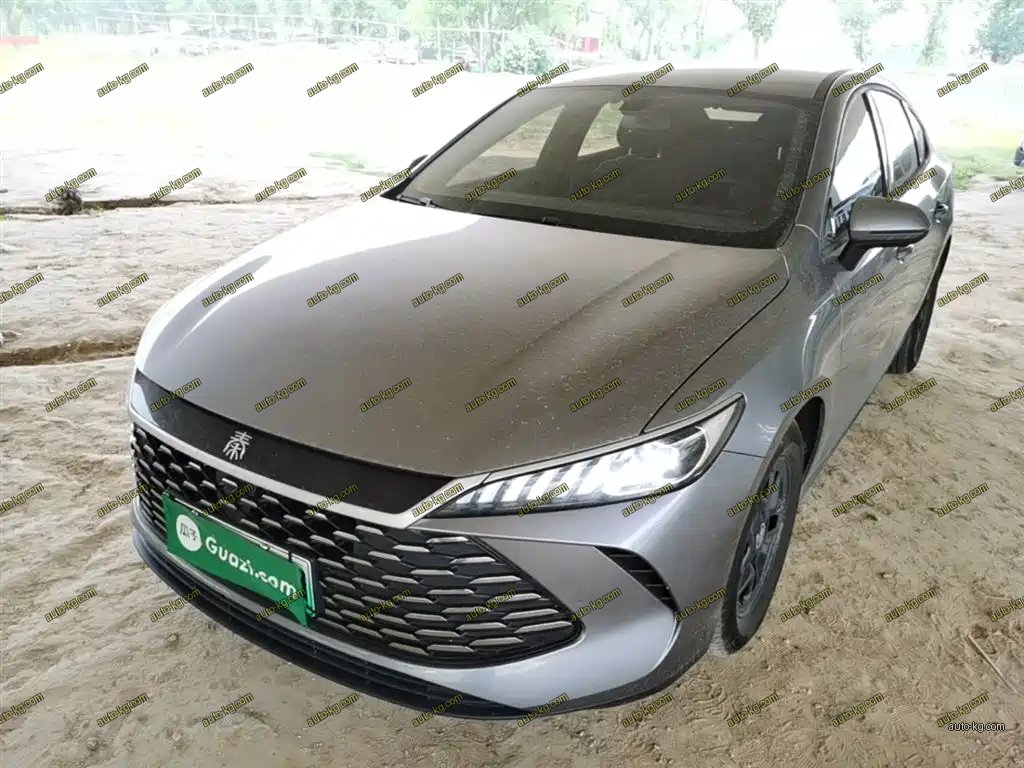 BYD Qin PLUS 2025