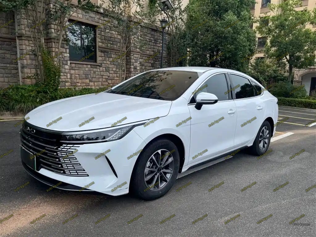 BYD Destroyer 05 2025