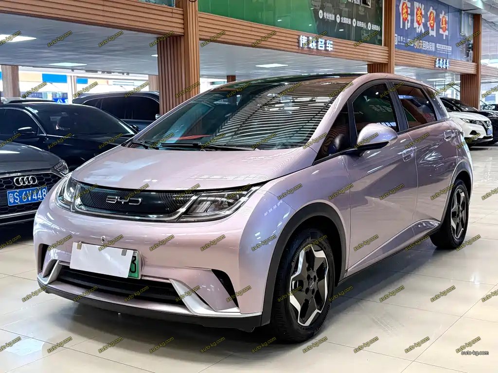 BYD Dolphin 2022