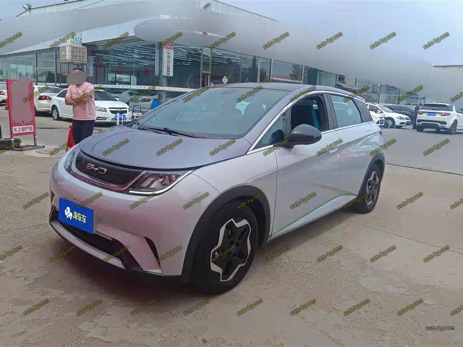 BYD Dolphin 2022