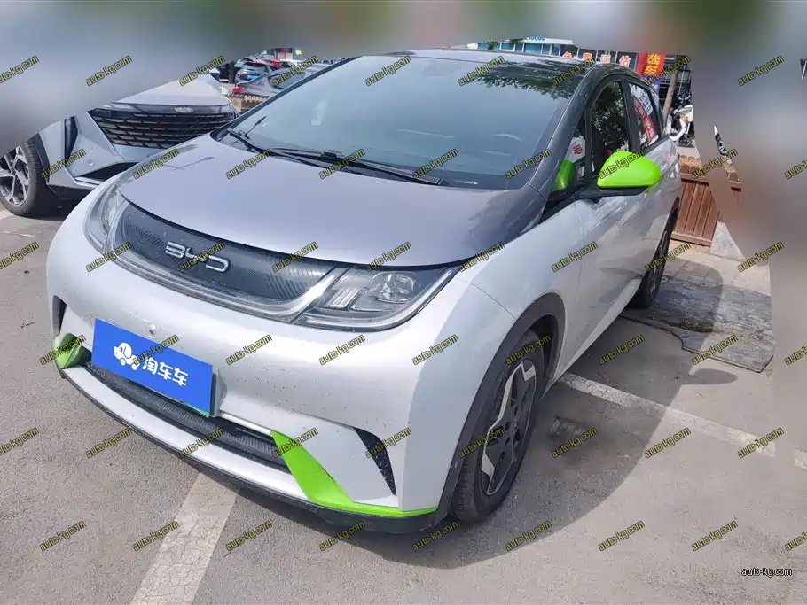 BYD Dolphin 2022