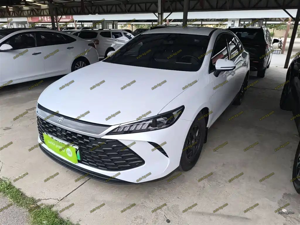 BYD Qin PLUS 2025