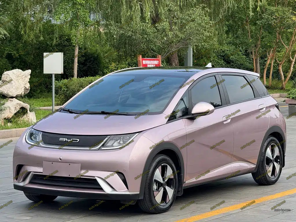 BYD Dolphin 2023