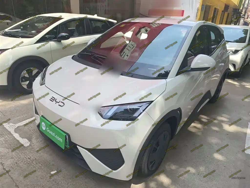 BYD Seagull 2026