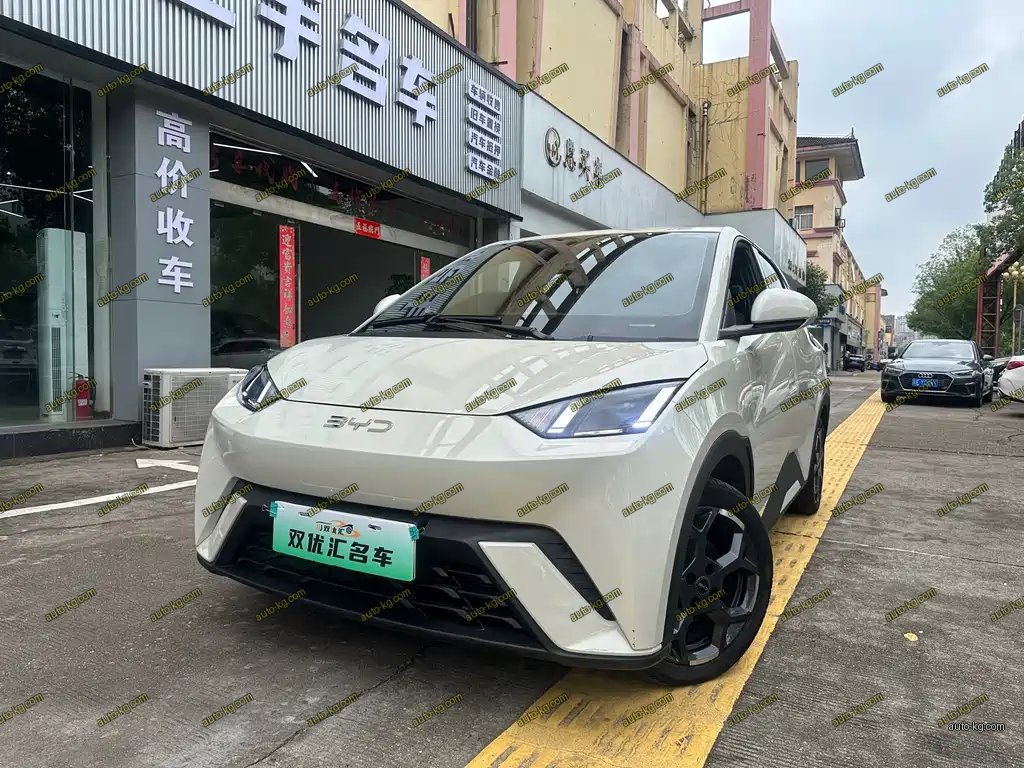 BYD Seagull 2025